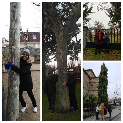 collado ampao abrazo al arbol