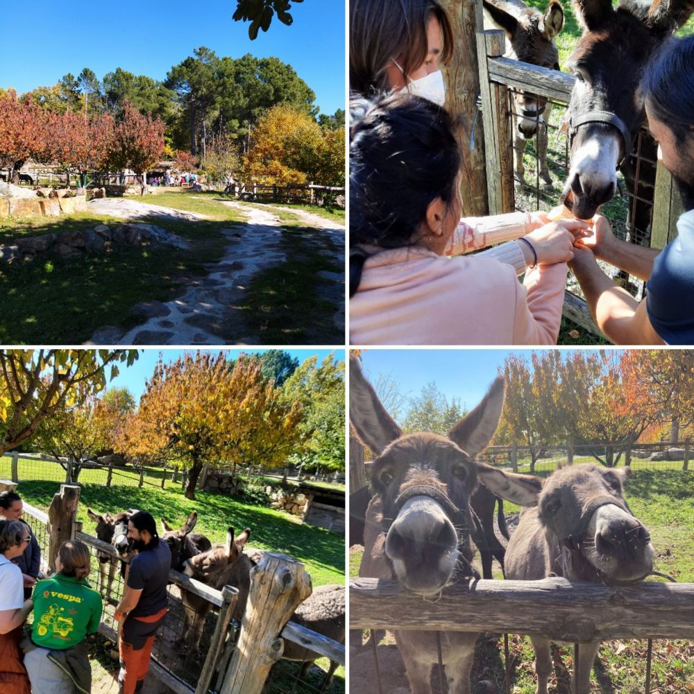 Personas participando en una propuesta recreativa en la sierra