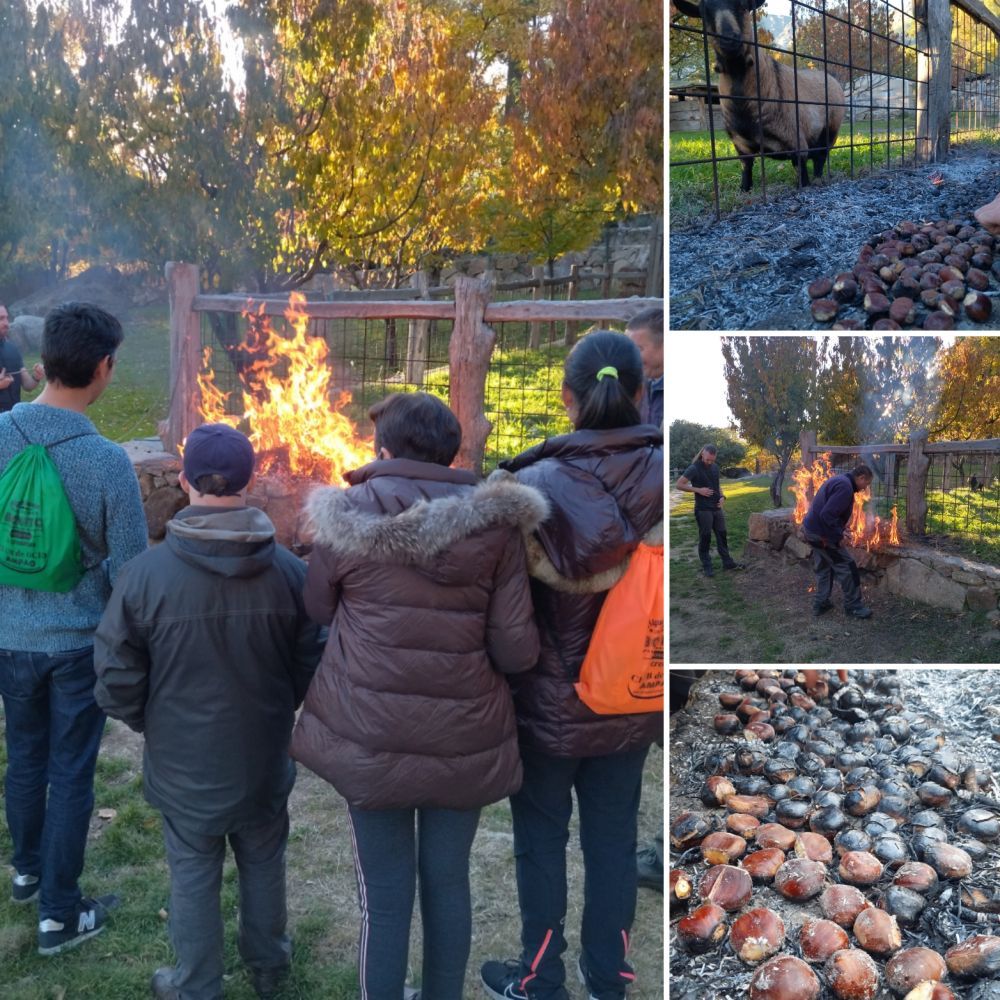 Participantes disfrutando de un ambiente tranquilo y rural