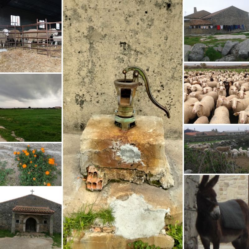 Participantes disfrutando de una jornada al aire libre