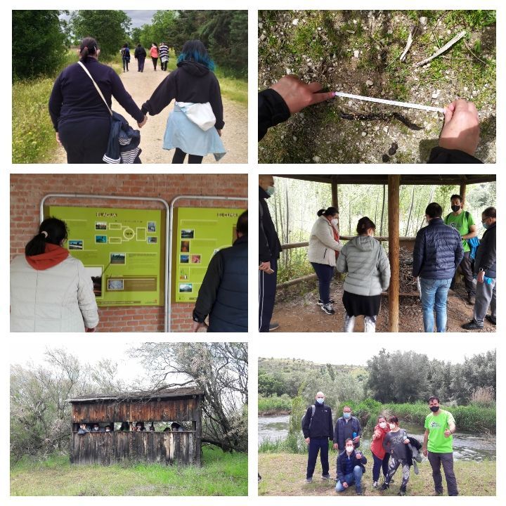 Actividad realizada en exteriores como parte del ocio adaptado en El Caserío de Henares.
